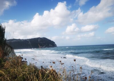 giardino mediterraneo bnb ischia italia