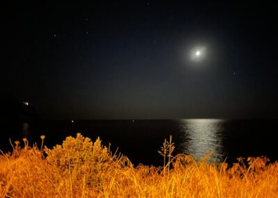 casa vacanze da nonna rosetta forio ischia